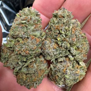 Cuties 🍊 (Qp’s)